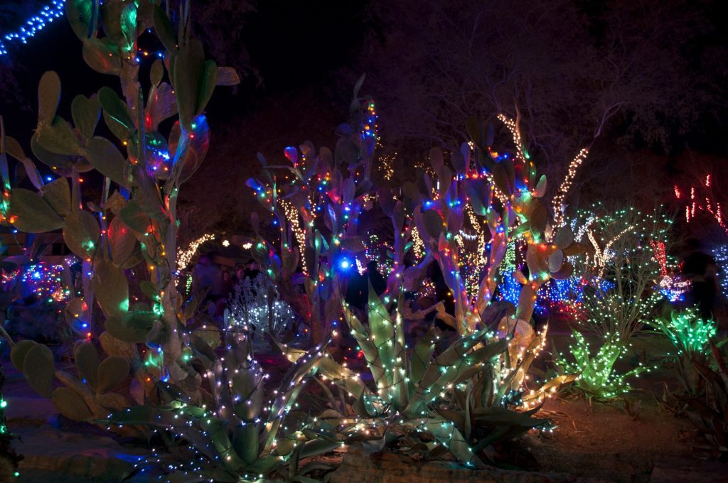 Holiday Cactus Garden Lights return to Ethel M Chocolates — PHOTOS