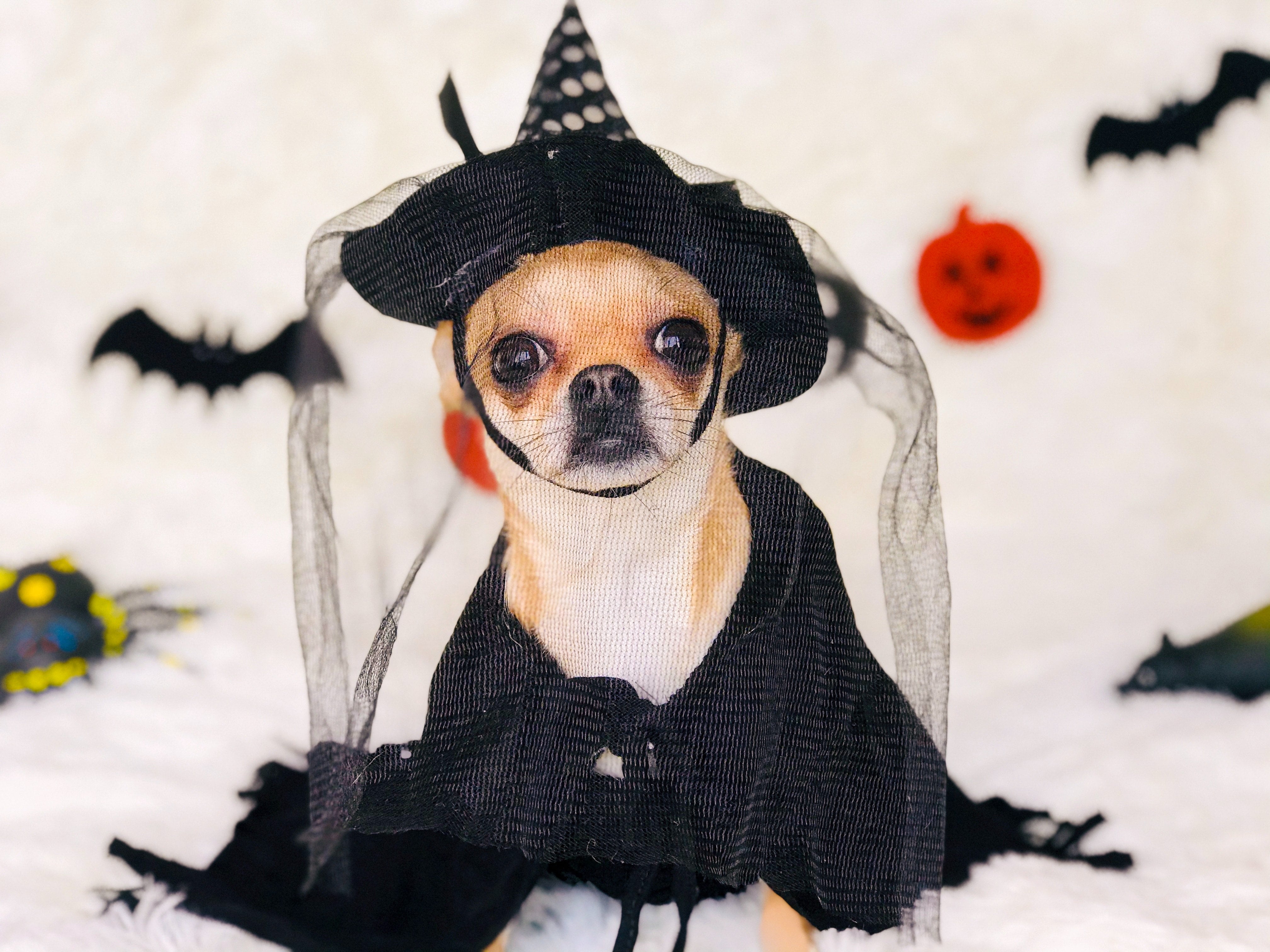 Las Vegas Pet Costumes Funny Dog Halloween Engineer Costume Party Cosplay  Tiktok Dress Up(With hat) 
